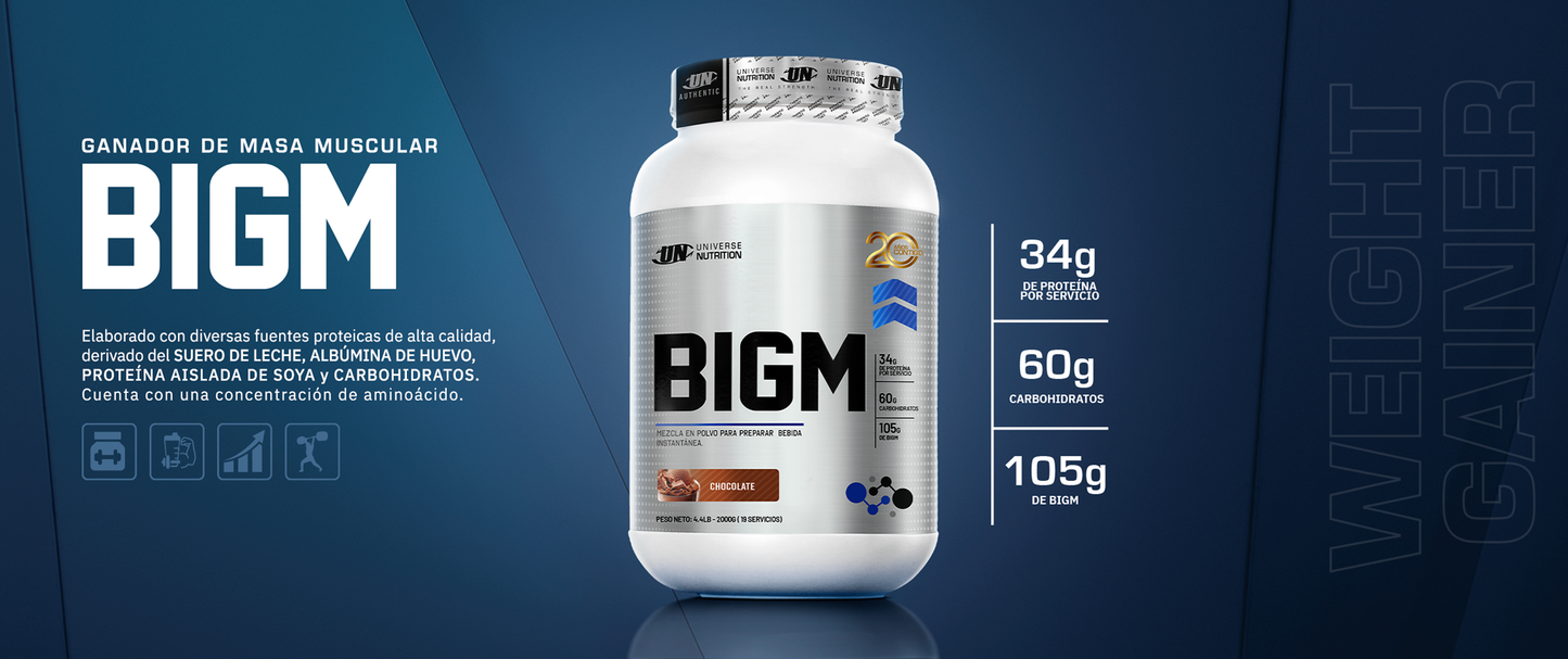 PROTEÍNA BIGM
