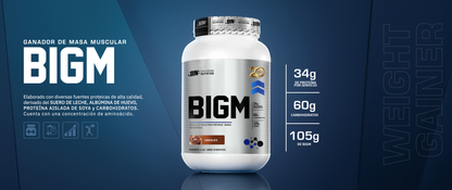 PROTEÍNA BIGM
